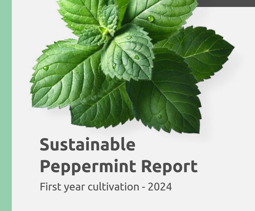 Sustainability report