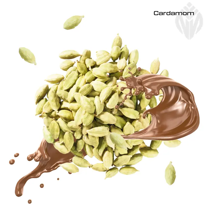 Cardamom oleoresin 60.0% -65.0 %