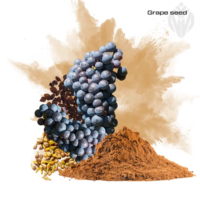 [400337] Grapeseed Extract 95% OPC