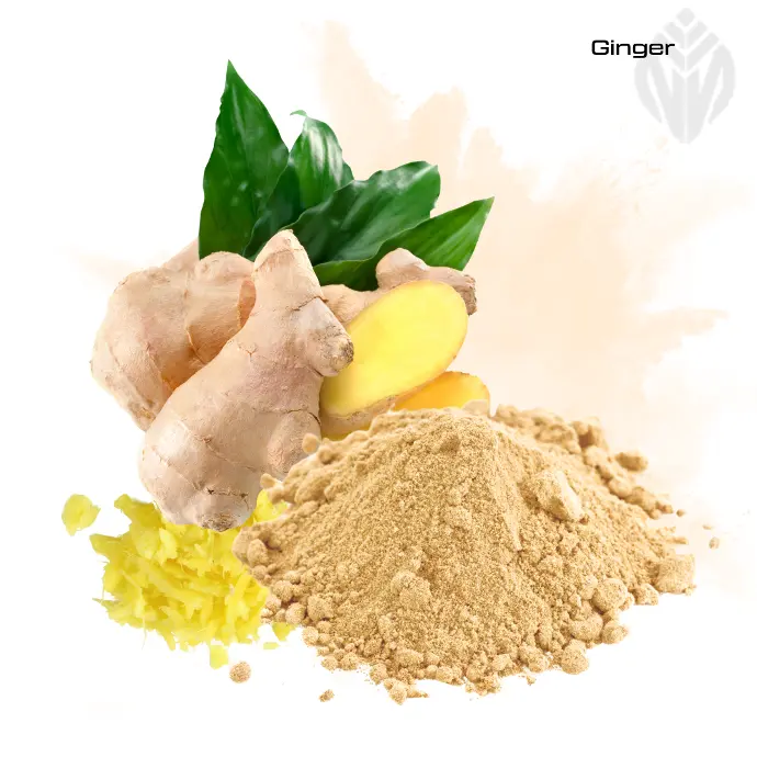 [401555] Ginger Extract 5% Gingerol (HPLC)