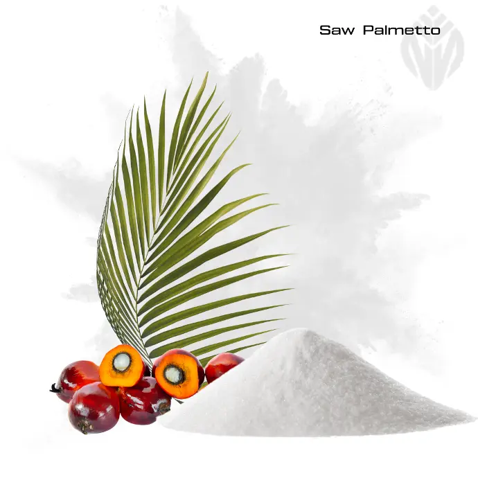 Saw Palmetto 45% Fatty Acids
