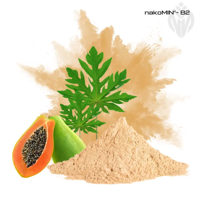 [700111C] nakoMIN®-B2 - 2.5 % Riboflavin