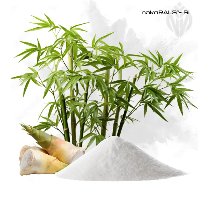 Organic nakoRALS®-Si - 70% Silica (DE-ÖKO-006)