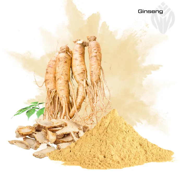 Panax Ginseng Extract 4%