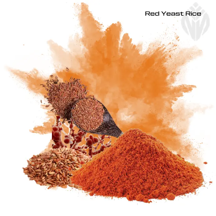 Red Yeast Rice 4.5-5.0% Monacolin -K