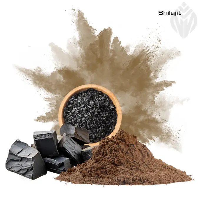 [405181] Shilajit Resin Extract
