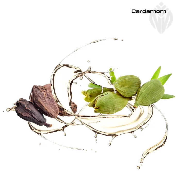 Cardamom Oleoresin 30 % VOC
