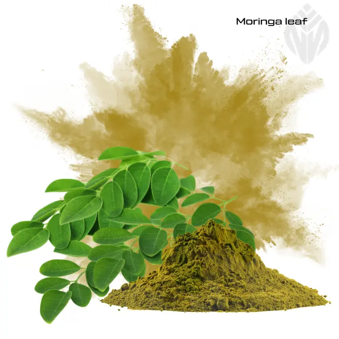 Organic Moringa Leaf Powder (DE-ÖKO-006)