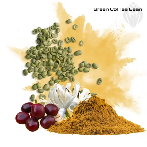 [400617] Green Coffee Bean Extract 45%