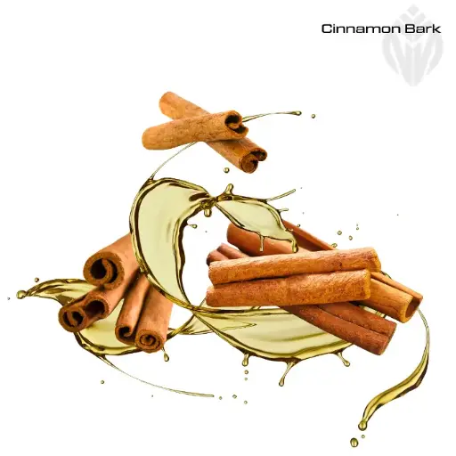 [404775] Cinnamon Bark Oil 